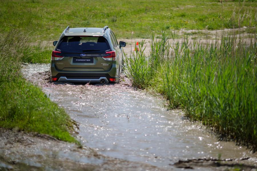  Subaru Forester e-Boxer 2019 года  (WW) (фото 68 из 69)